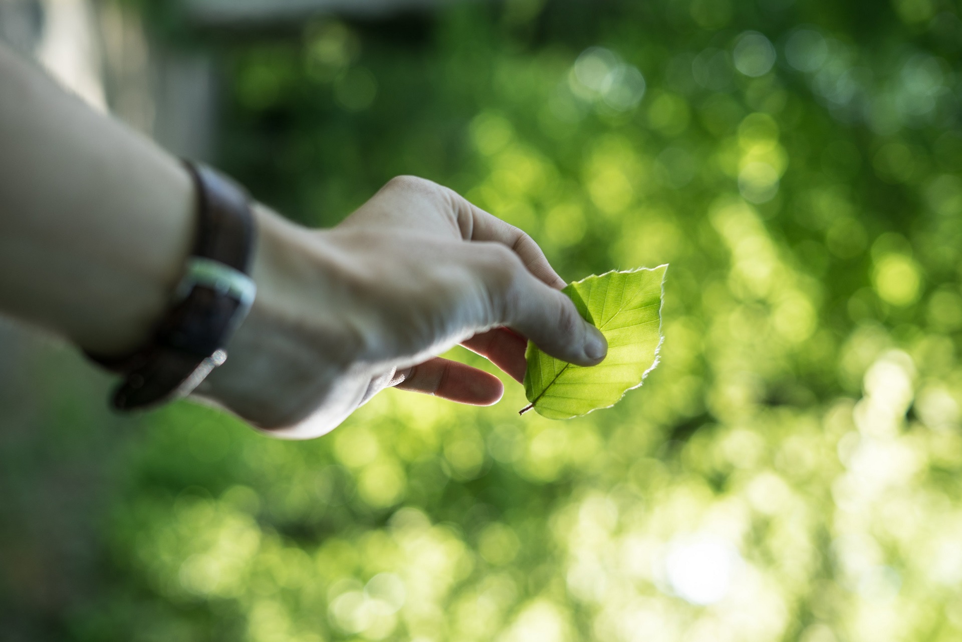 Certificazione Dei Sustainability Manager Practitioner Cepas