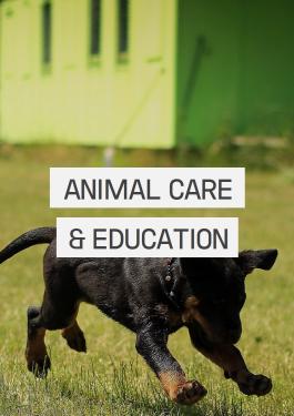 certificazione competenze animal care