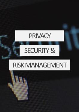 privacy, security, risk management